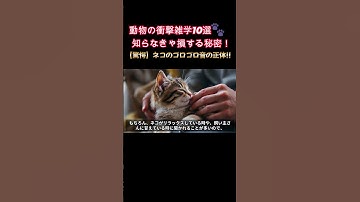 動物の衝撃雑学10選🐾 知らなきゃ損する秘密！