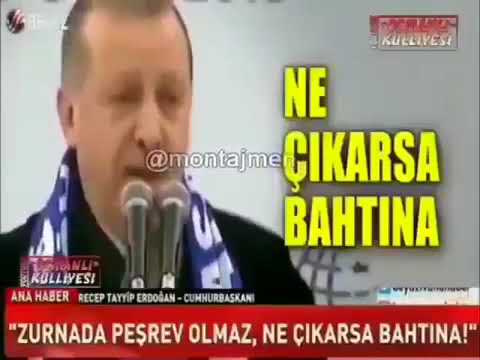 Recep Tayip Erdoğan Aklım gider aklına  ft Bahçeli ft Almanya başkanı