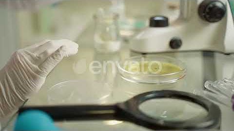 Female Doctor In Laboratory With Microscope | Stock Footage - Envato elements