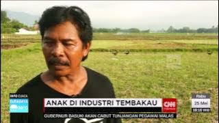 Fakta Mengejutkan Pekerja Anak-anak di Industri Tembakau