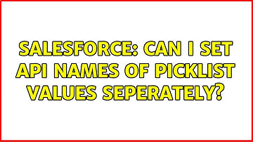 Salesforce: Can I set API names of Picklist values seperately?