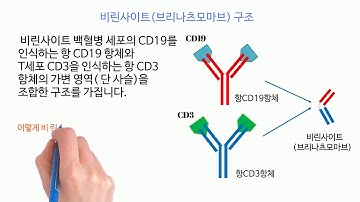 CAR-T 세포 치료제 신약