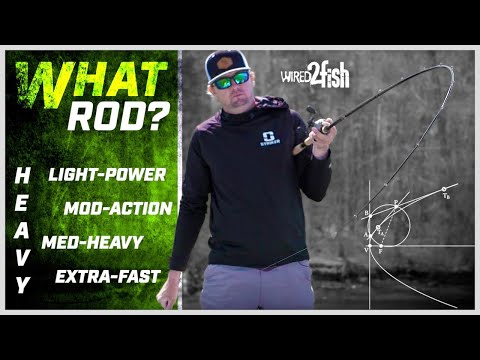 How to Choose Bass Fishing Rods Based on Technique 