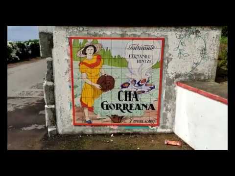 Video: Wohin In Furnas, Sao Miguel, Azoren Zum Frühstück Und Tee