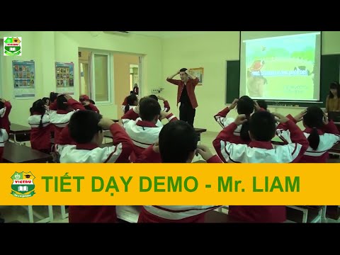 Tiết dạy Demo Tiểu học - Mr. Liam - Giáo viên bản ngữ