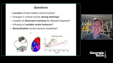 Brain dynamics related to short-term memory and learning