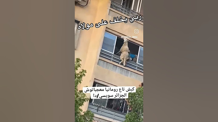 كبش تاع رومانيا ماعجباتوش دزاير 😂 #عيد #عيد_اضحى #كباش