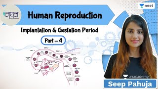Human Reproduction | Implantation, Gestation Period | L4 | NEET 2022/23 | Seep Pahuja