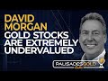 David Morgan: Gold Stocks are Extremely Undervalued