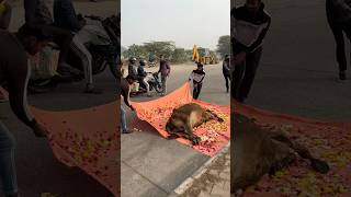 Thumbnail for 😱😭प्लीज़ ड्राइव स्लो 😭😱#humanity #respect #helping #trending #viralvideo #youtubeshorts😭