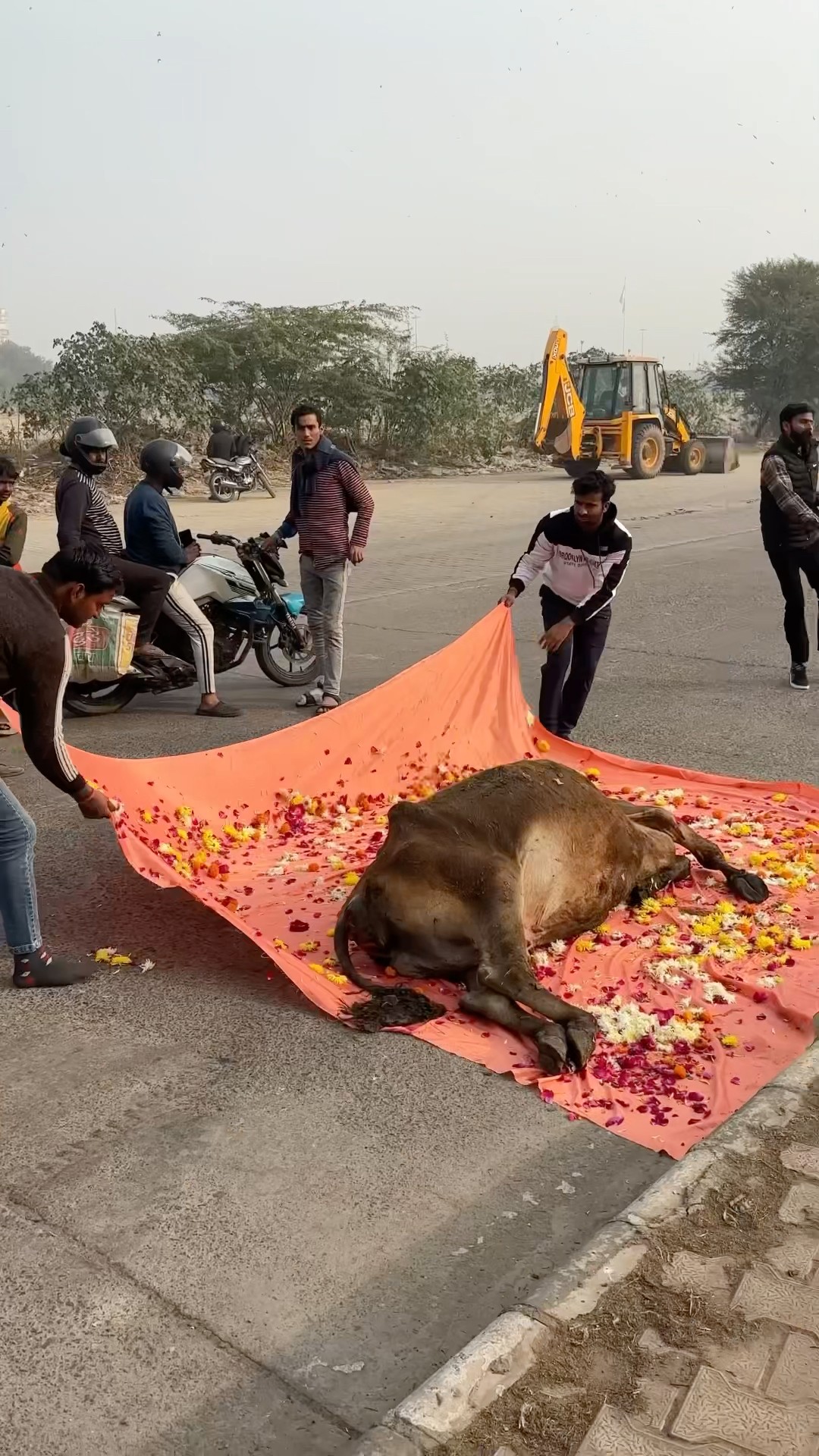 ??प्लीज़ ड्राइव स्लो ??#humanity #respect #helping #trending #viralvideo #youtubeshorts?