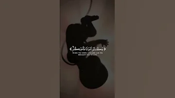 الشيخ ياسر الدوسري تلاوة عذبة ياسر الدوسري حالات واتس 