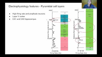 2020 Lecture 3.09 - Aligning Neuropixels tracks to a brain atlas - Mayo Faulkner (IBL)