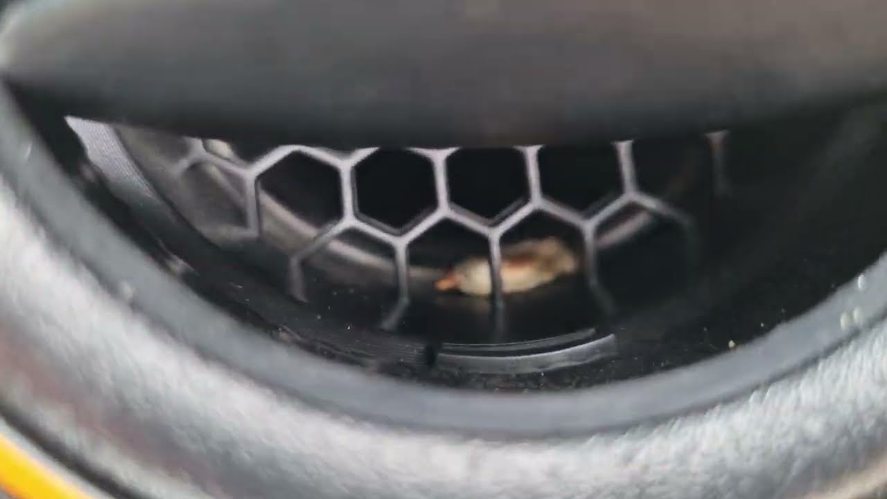 verificare filtru polen la dacia spring