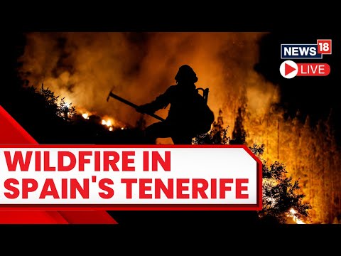 Spain Wildfires 2023 LIVE | Thousands Evacuated At Spanish Island Tenerife | Tenerife Wildfire LIVE