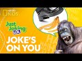 Humorous Riddles and Puns