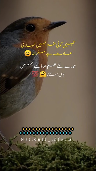 urdu quotes status for whatsapp 🪔🌹#shorts #quotes #youtubeshorts