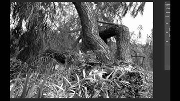 Creating a 3D Anaglyph image in Photoshop