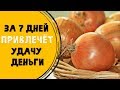 Этот овощ привлечёт в дом деньги. Оберег из лука @Эзотерика для Тебя: Гороскопы. Ритуалы. Советы.