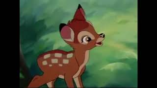 Say Bird Bambi