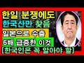 한일 현재 상황에도 일본수출 6배 급증! 하지만, 반갑지만은 않은 상황..왜?✅  ✔[채움tv]