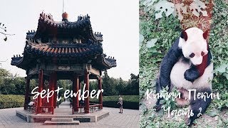 Китай 2017, часть 2. Зоопарк Пекина и где отдыхают европейцы