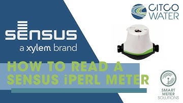 How to Read a Sensus iPERL Register