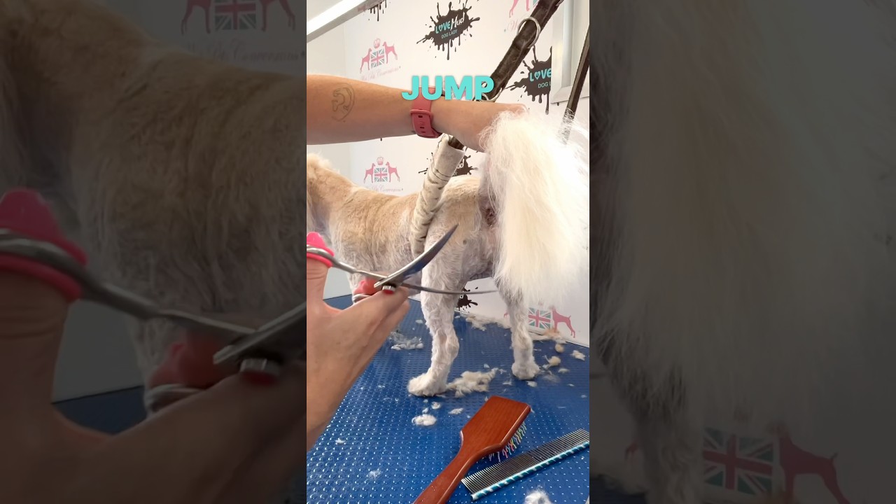 Don’t cut the tail! 