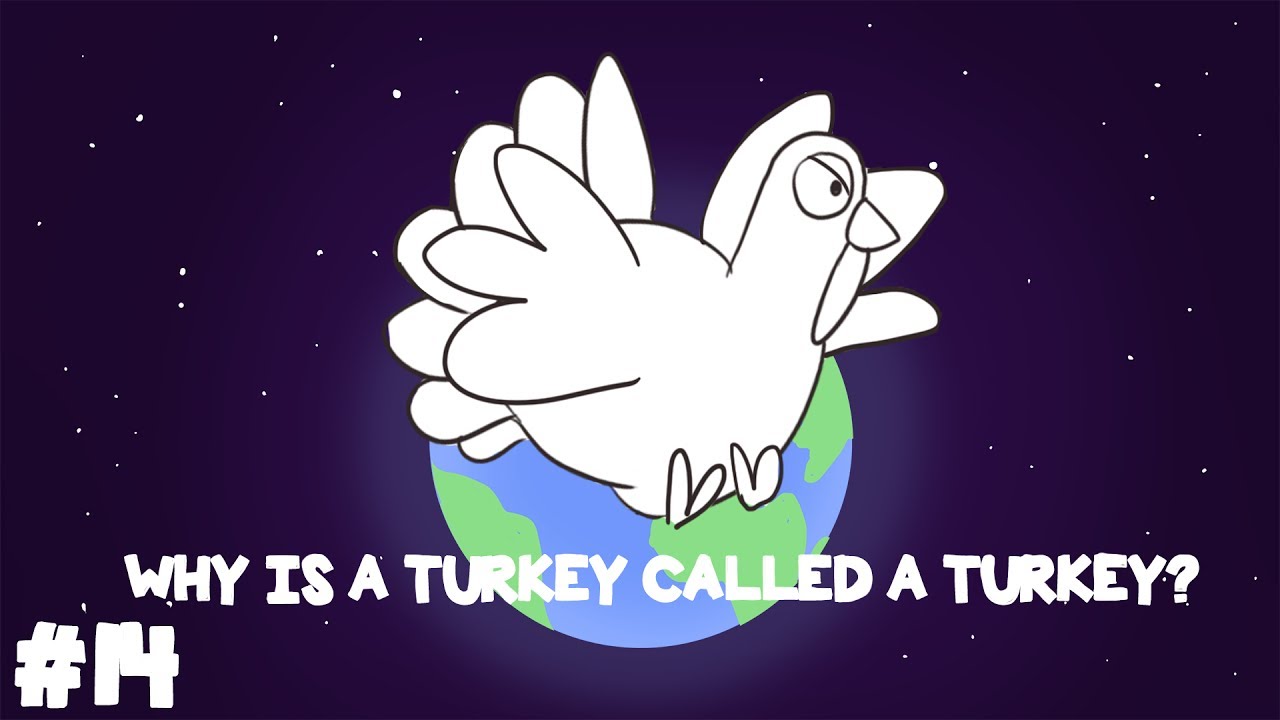 Why does Turkey and a turkey (bird) have the same name? Animated