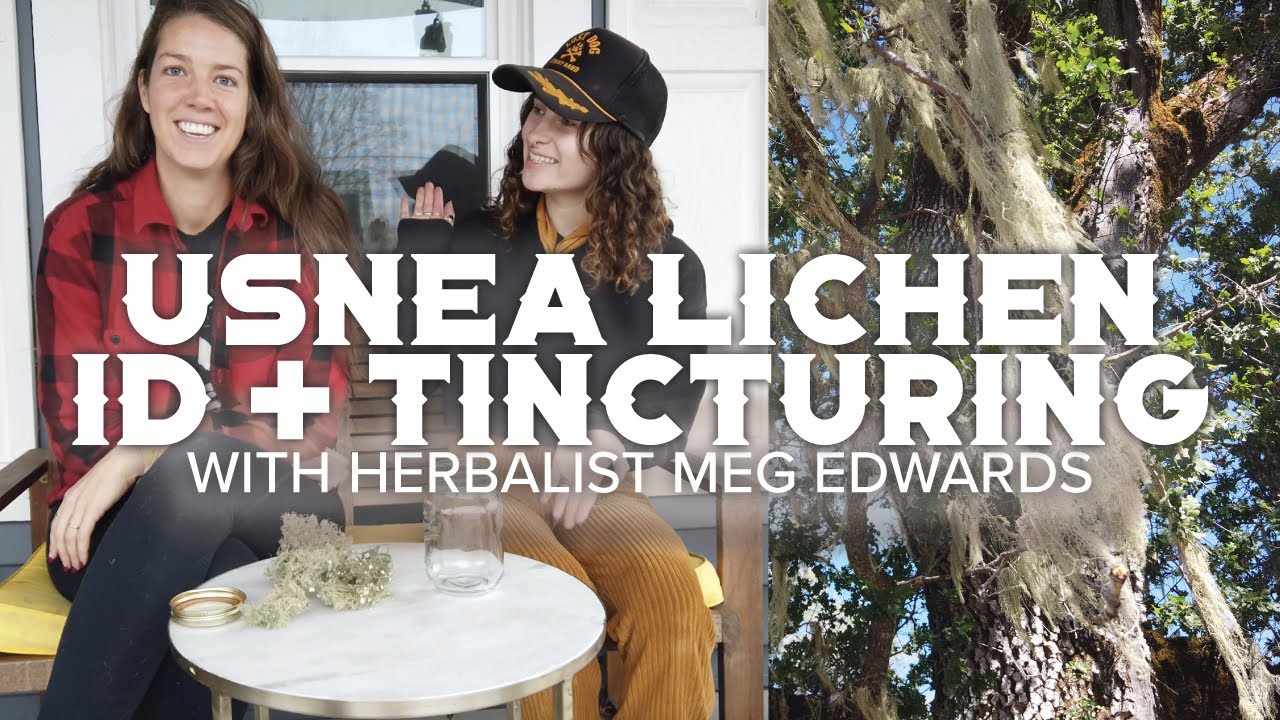 How to Make an Usnea Lichen Tincture with Meg of Flora Wellness - Herbal Foraging