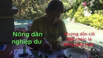 Nông dân nghiệp dư | Hướng dẫn cắt dán chiếc lá bằng giấy màu