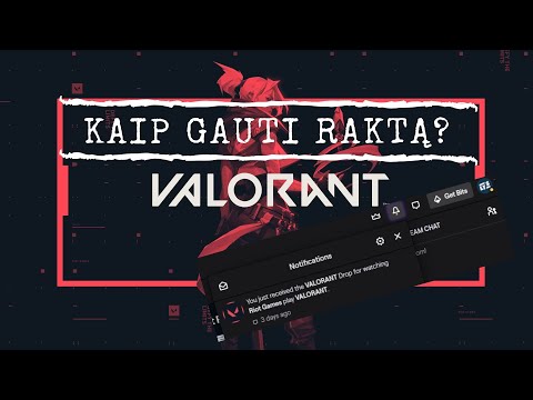 Video: Kaip Gauti žaidimo Raktą