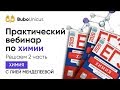 Практический вебинар по химии | ХИМИЯ ЕГЭ 2020 | Лия Менделеева