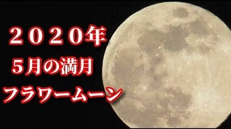 フラワームーン Youtube