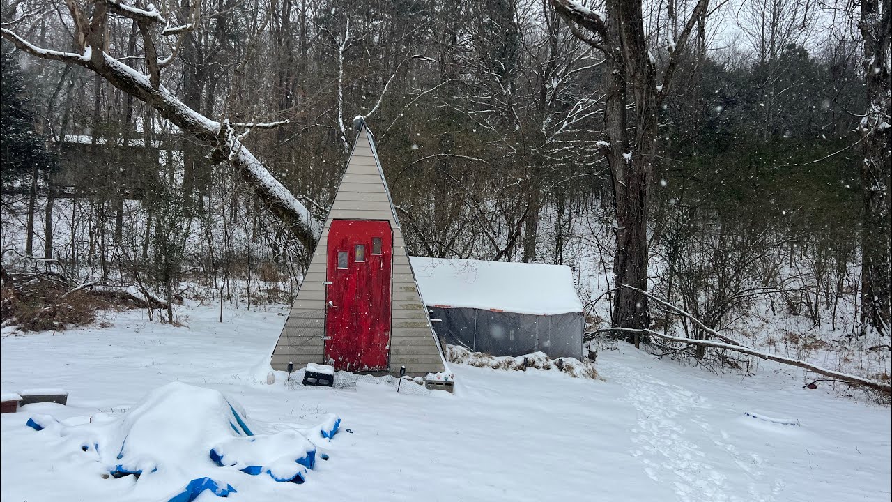 First Snow of Tennessee + A-Frame Chicken Coop Tour