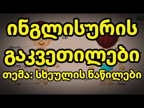 სხეულის ნაწილები - ინგლისურის გაკვეთილები