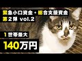 緊急小口資金・総合支援資金 新情報と返済免除申請など②【１世帯・無利子 最大140万円へ】二世帯住宅・シェアハウスなど様々な世帯例でもオールイン