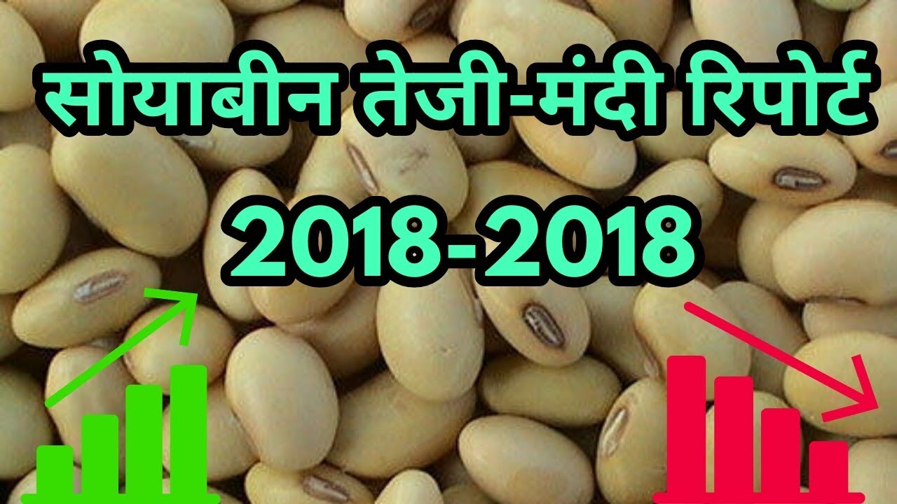 क्या सोयाबीन में आने वाली है तेजी? soybean market||soyabean rate in future?#soyabeenbhav - YouTube