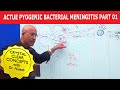 Acute Pyogenic Bacterial Meningitis Part 1