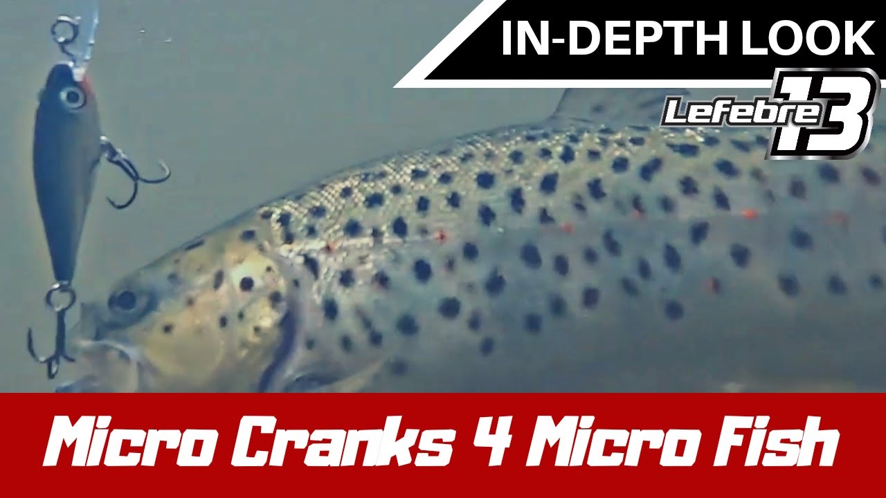 Trout Fishing With Crankbaits - Game & Fish