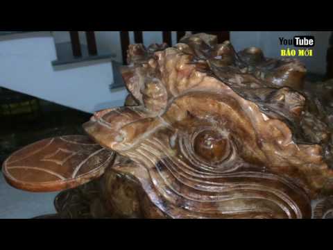 Video Cóc ngậm tiền: ý nghĩa và vị trí đặt đúng để mang tiền... - youtube