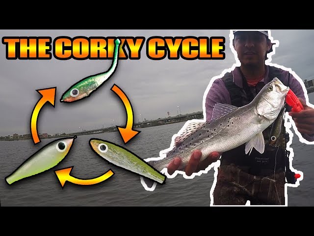 The Corky Cycle  Fishing with Paul Brown Lures 