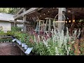 Garden nursery visit at Hilton Head Island!