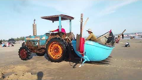 CHỢ HẢI SẢN HỒ TRÀM VŨNG TÀU GIÁ SIÊU RẺ ll Khám phá Vũng Tàu