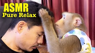 Monkey ASMR to Deep Sleep | Pure Relax & Tingly Hair Scratch Sounds screenshot 5