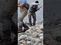 I almost missed the large salmon I caught by fishing!!  I ❤️ salmon fishing Canada ❤️ 🇨🇦