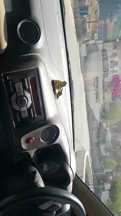 Brio car| whatsapp status