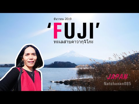 ภูเขาไฟฟูจิ เที่ยวรอบทะเลสาบคาวากุจิโกะ | Mt Fuji Kawakuchiko | EP13