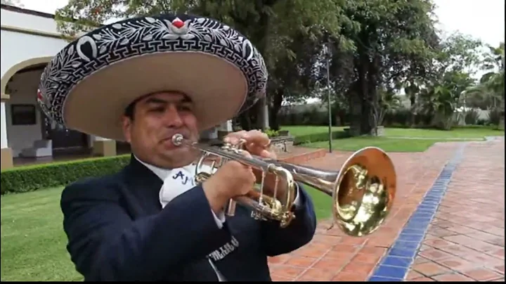 Down To Mexico - Col Millington & Tammy Wilson