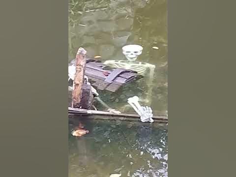 Скилеты корибских балот 😆 - YouTube